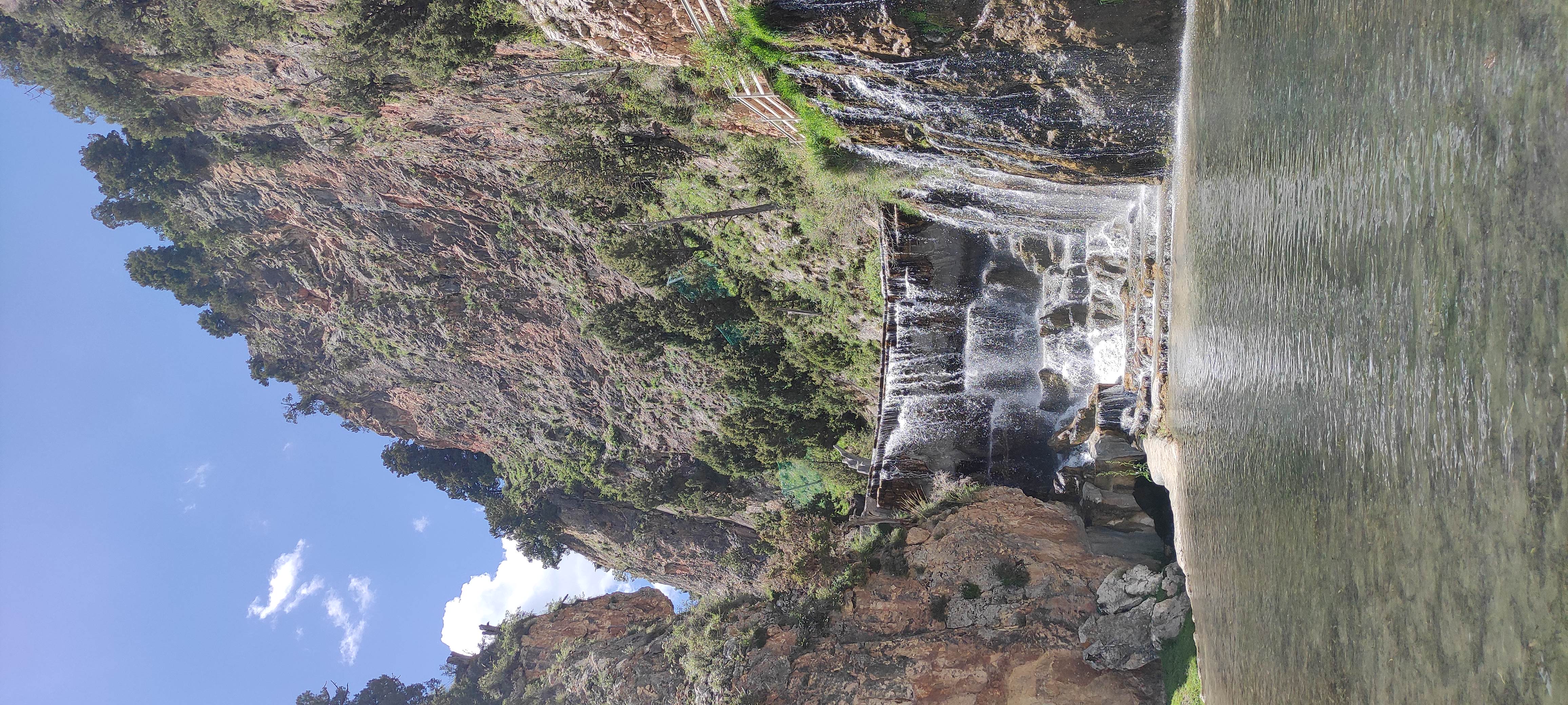 鑻ュ皵鐩栨俯娉夎胺闂ㄧエ,鑻ュ皵鐩栬姳婀栨俯娉夎胺