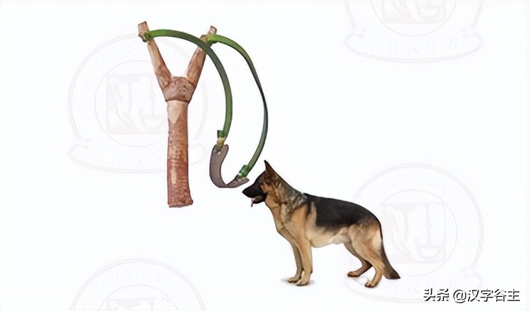 汉字动物篇,汉字兽的演变