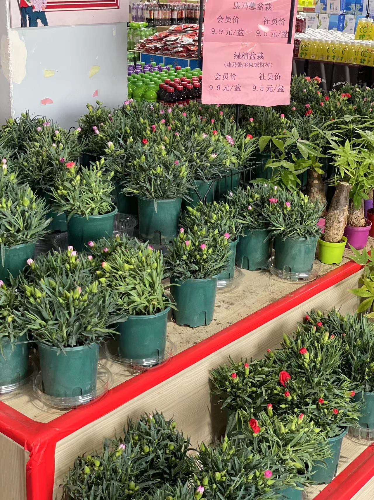 青岛有啥必买的吗,青岛海边都卖啥