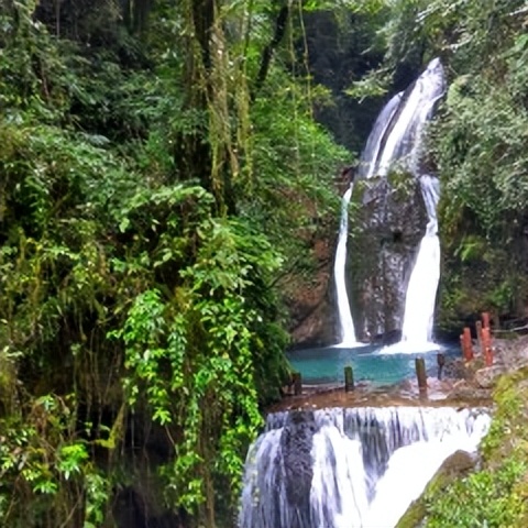 青城后山白云索道上山大概几分钟,青城后山游玩攻略大全