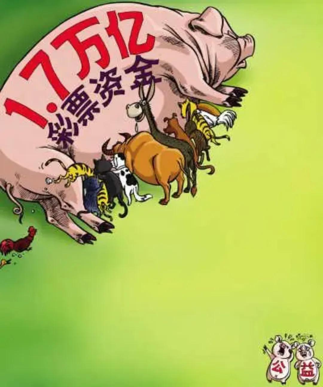 为什么彩票现在没有多少人买了 (现在怎么买不了彩票)