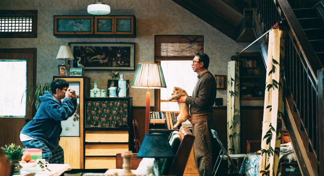 国产翻拍2019 (国内翻拍的电影吐槽)