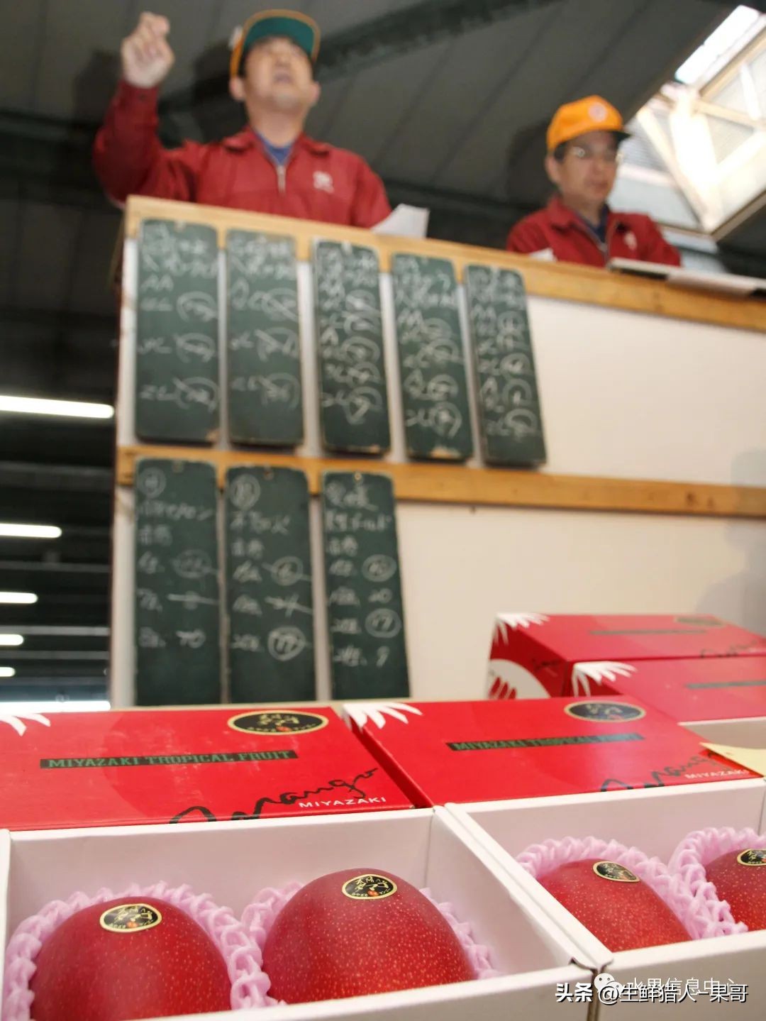 中国十大果蔬批发市场,全国十大蔬果批发市场