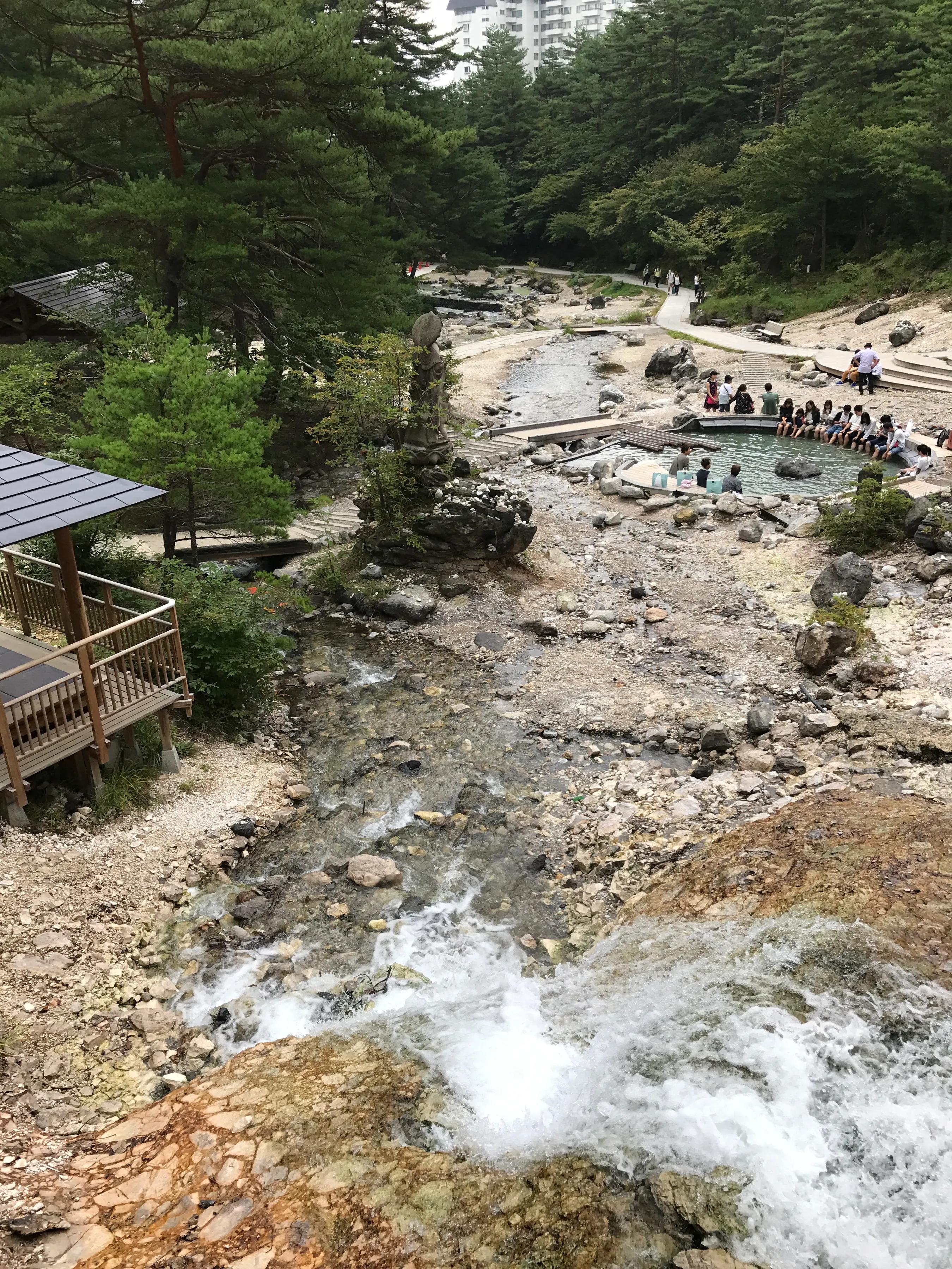 日本东京民宿推荐,日本民宿客人