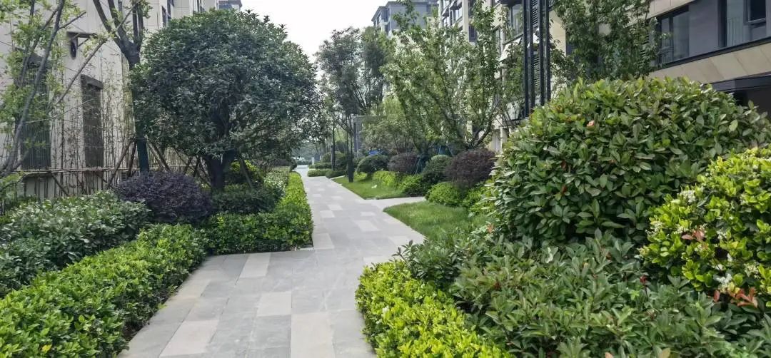 滨湖5.0板块楼市分析,滨湖5.0板块怎么样