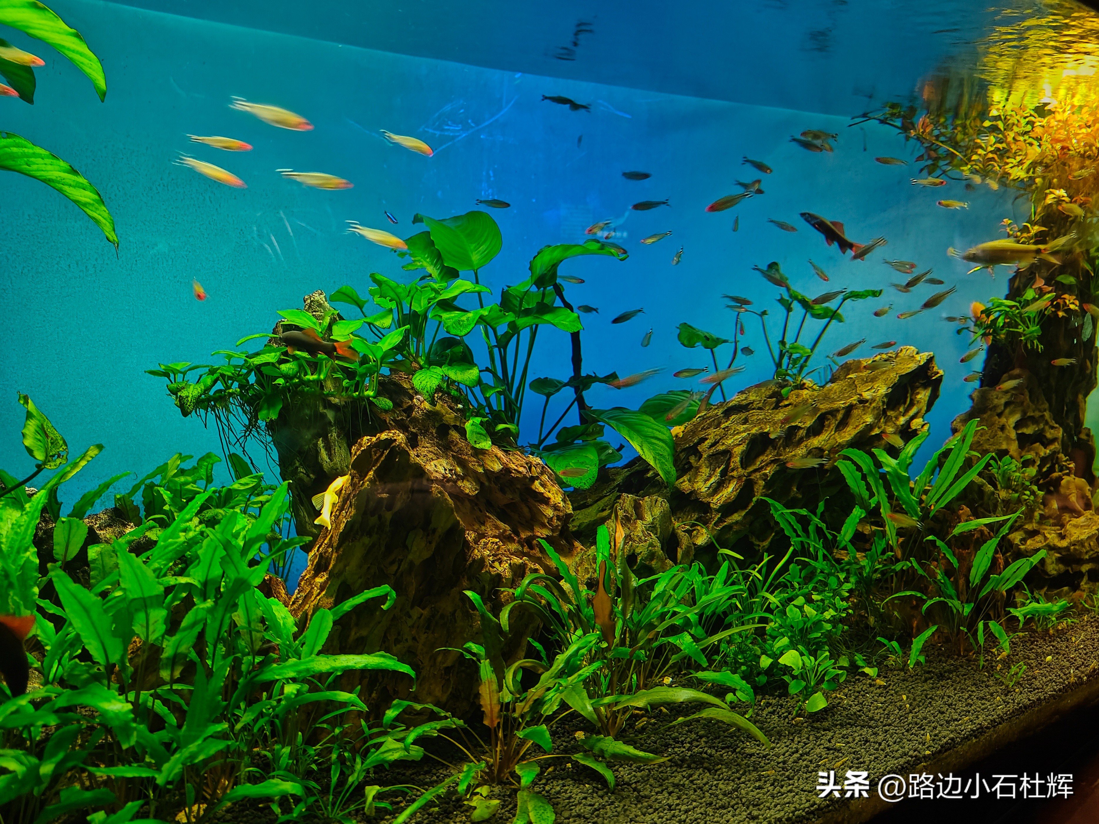 游游人间,游旅人间