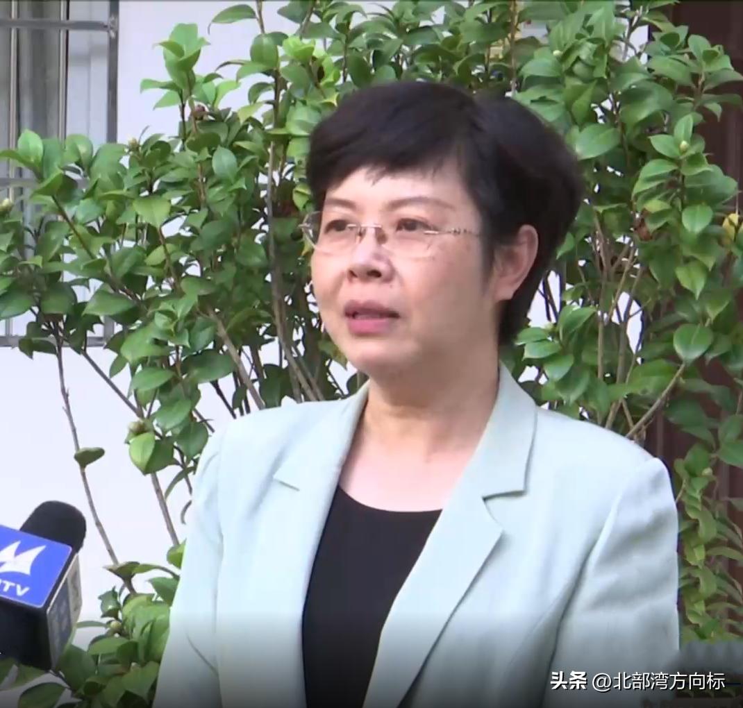 北海前11个月新签89个项目，总投资额超660亿元！