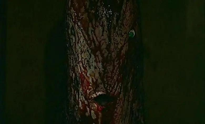 疯魔阿佳妮,阿佳妮疯魔角色