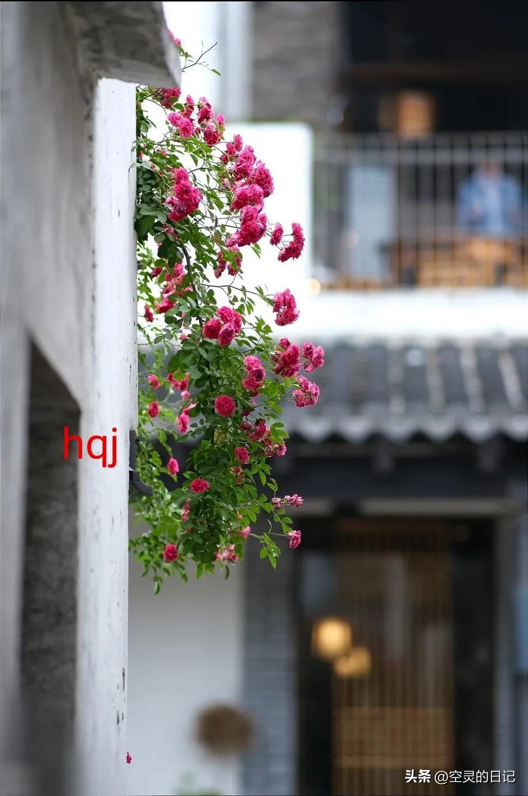 濡備綍鎵嶈兘鐪嬭浣犵殑瀹归,鎬庝箞鐪嬩綘鏄惁婕備寒