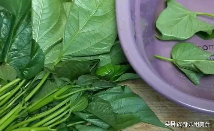 可以每天都吃的绿叶蔬菜,长期吃绿叶蔬菜对人体有什么好处