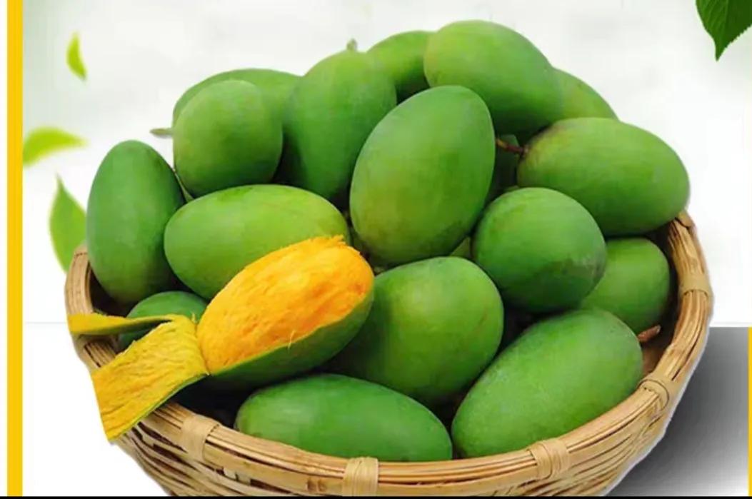 广东湛江一年四季水果名单,湛江特色水果介绍