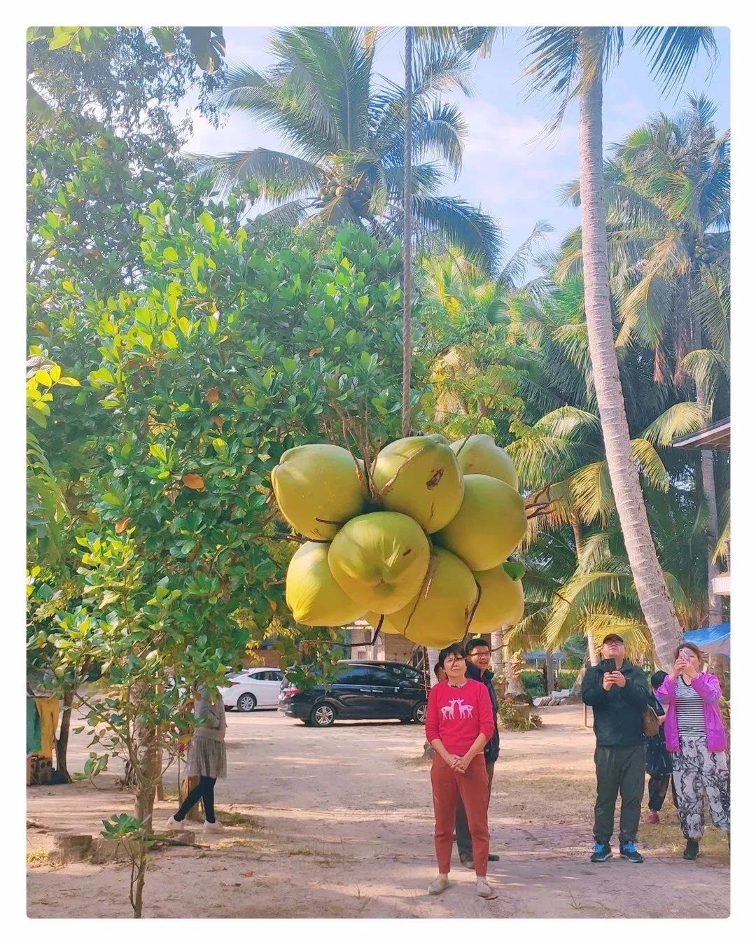 最新海南环岛旅游路线攻略,海南岛自驾性价比最高旅游攻略