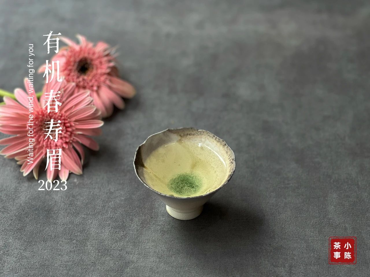 白茶鉴茶全套视频教程,白茶鉴茶教学视频