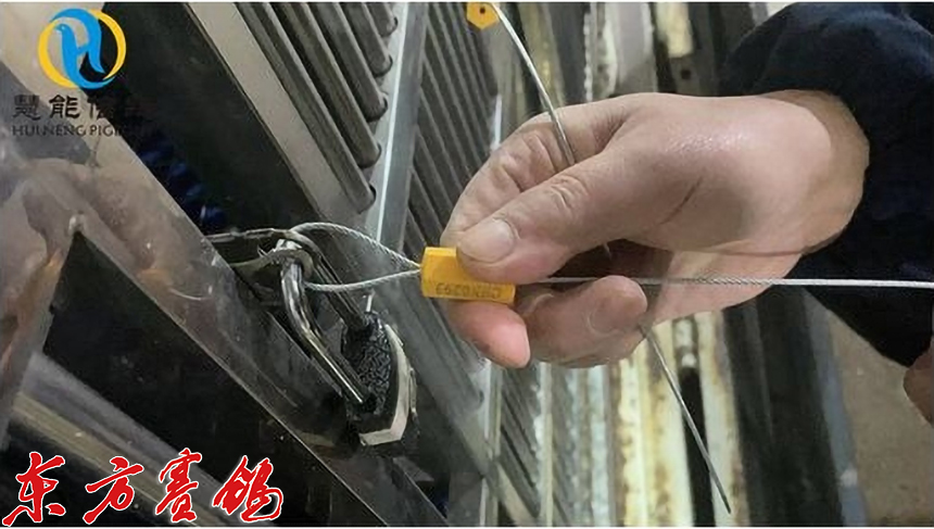 21年惠能秋棚决赛获奖鸽照片,慧能信鸽秋棚直播