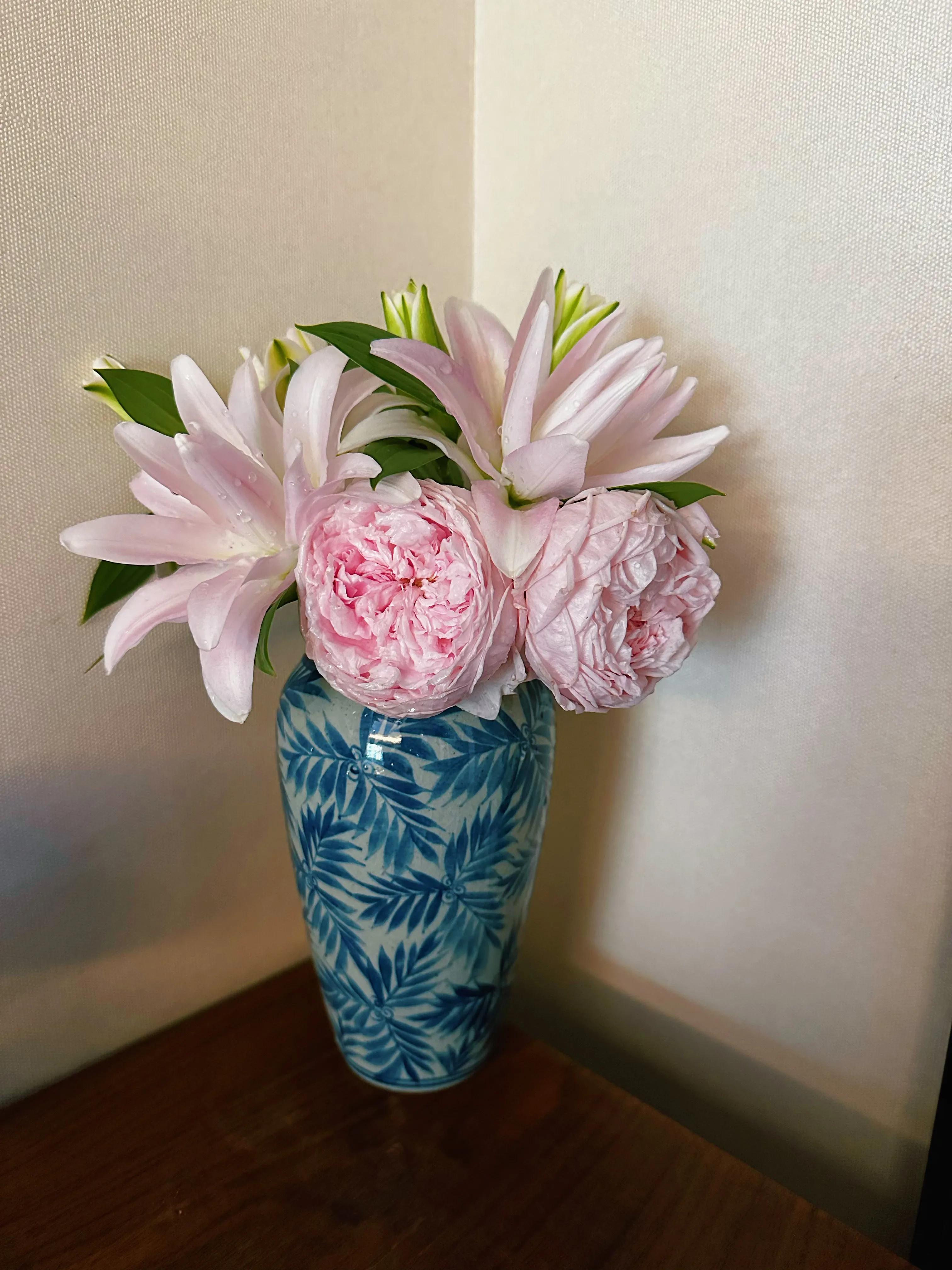 多季节开花的月季有哪些,夏天月季开花不标准