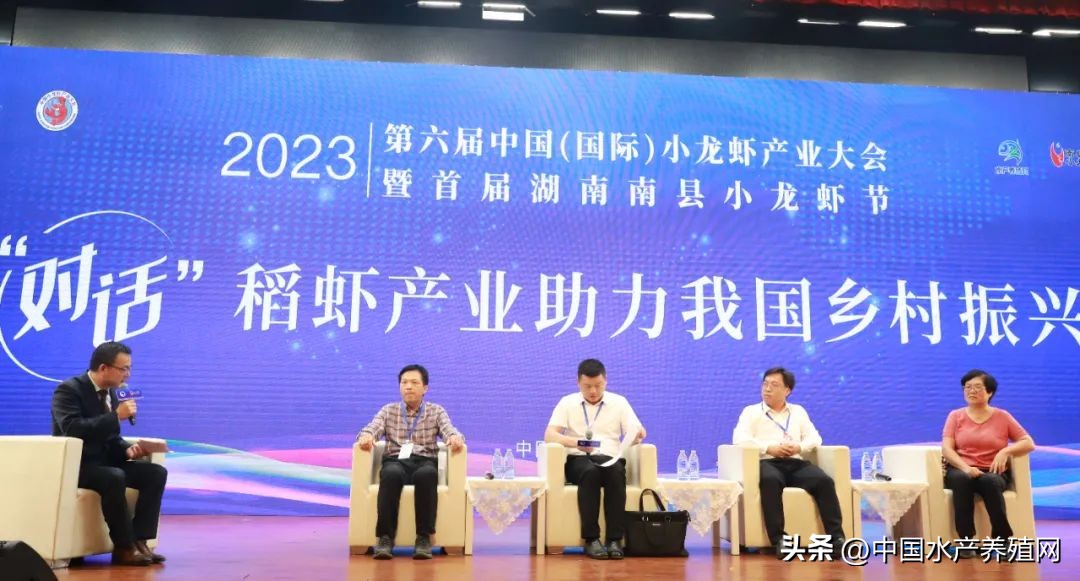 2023年南县小龙虾价格行情,南县小龙虾价格报价