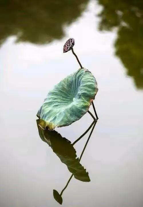 日出月落看见感知没有出入轨道运转地球之上人类模式元姆