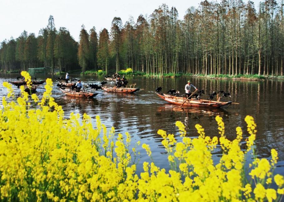 泰州兴化风景,泰州兴化名胜古迹