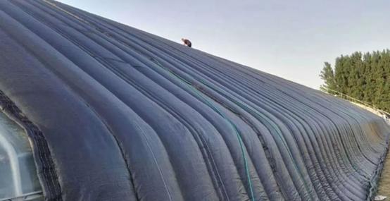 鉴别黑心棉的有效简单方法,如何有效的辨别黑心棉