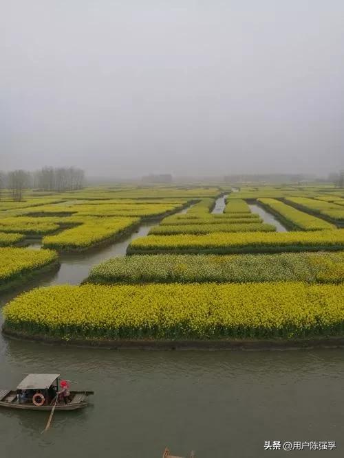 江苏的教育发达吗,江苏教育有多强大