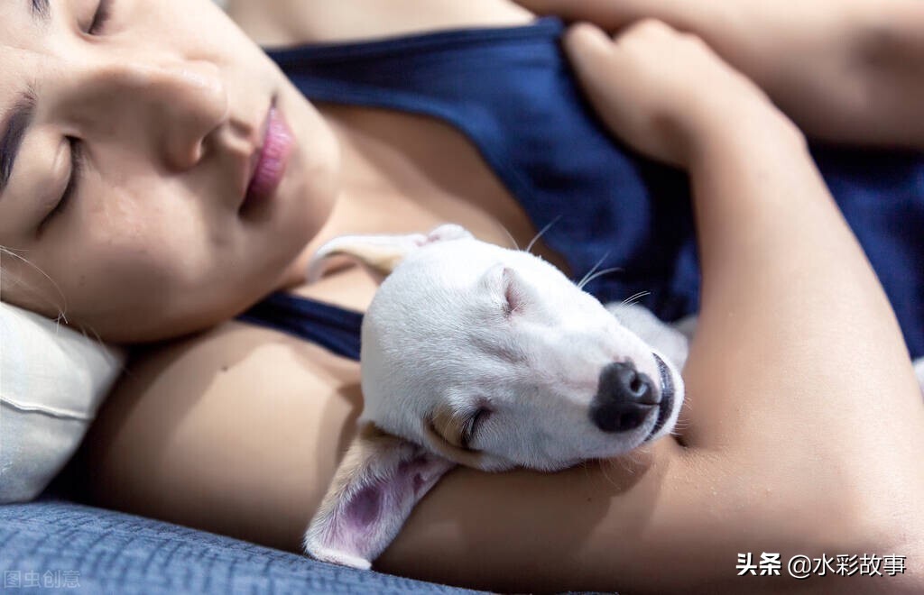 香蕉banana是啥,香蕉banana的由来