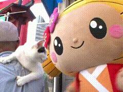 现实版招财喵，帮铲屎官实现月入过万，成为最强吉祥物！