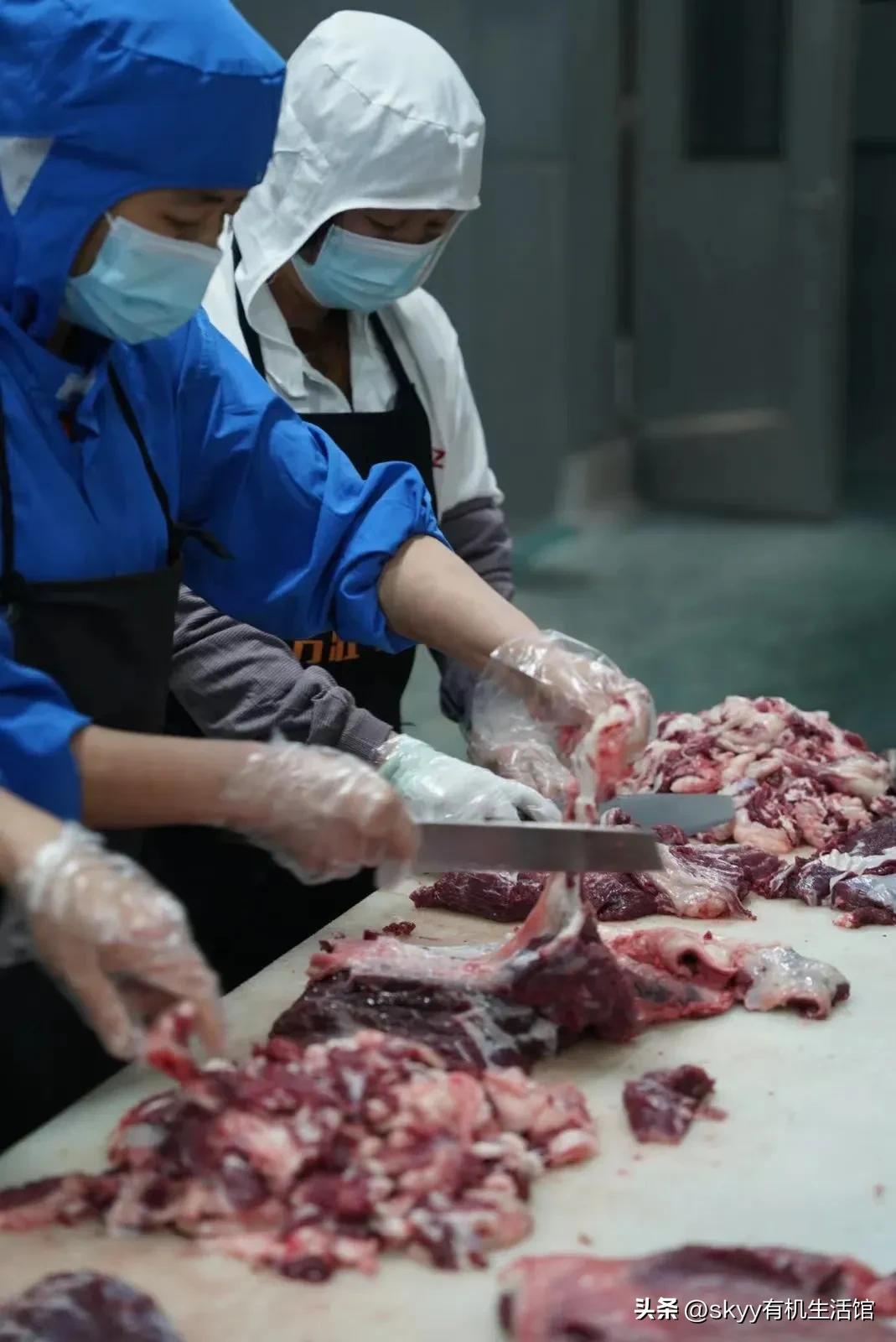 潮汕牛肉丸做法大全家常菜,潮汕正宗牛肉丸好吃不腻