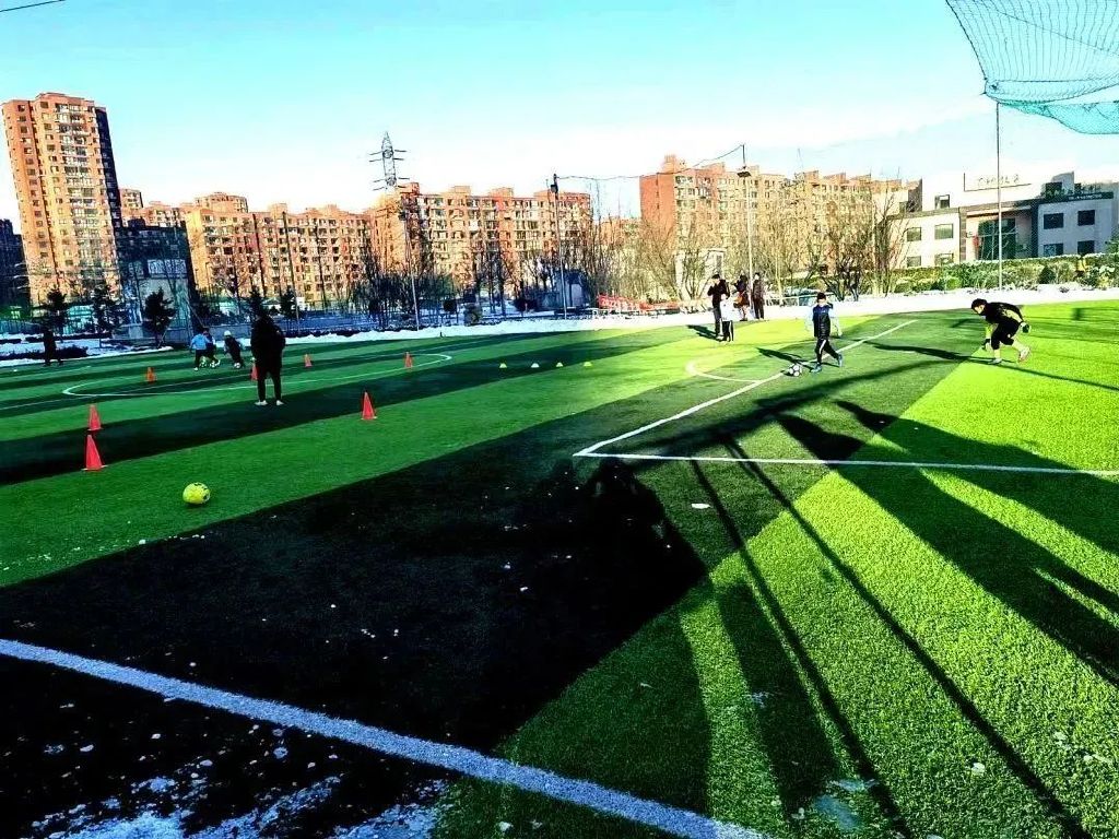 社区足球场维护,社区足球场管理方案