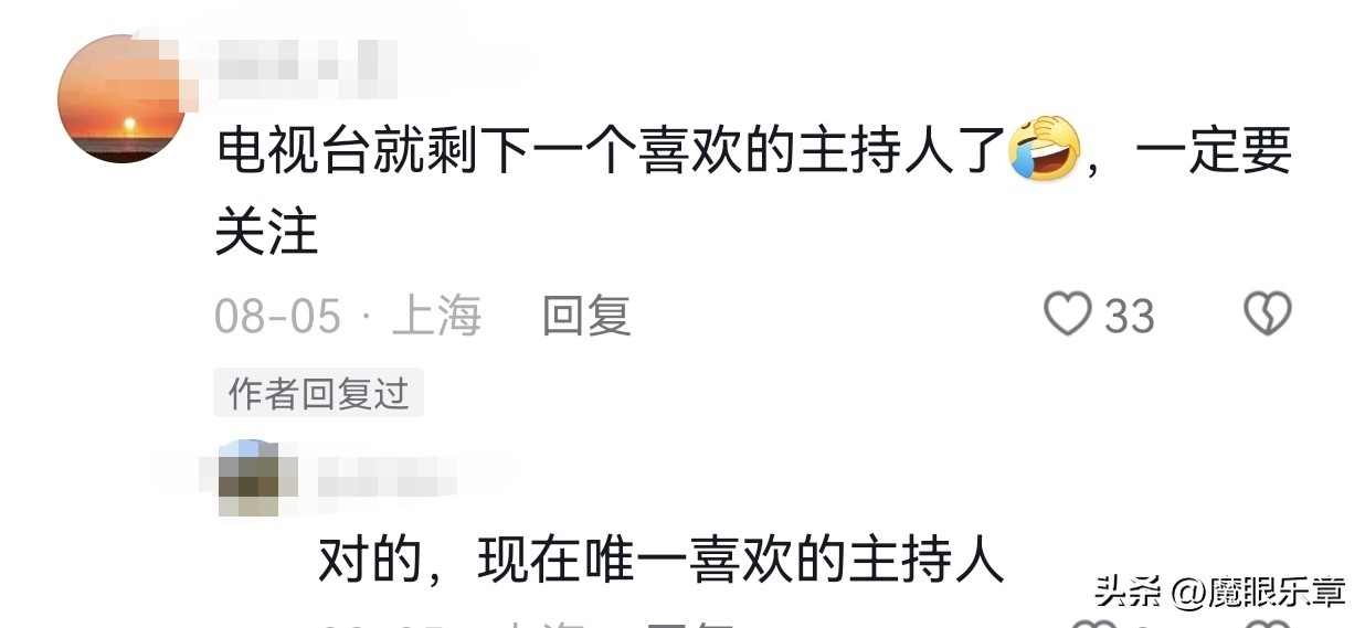 主持人路易的视频,上海电视节目主持人路易去哪了