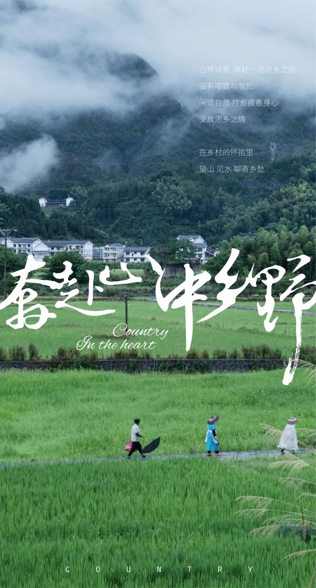 乡村振兴示范村典型案例规划设计,偏远山区乡村振兴示范村典型案例