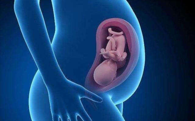 易经上的蛊卦第十八集,易经蛊讲解