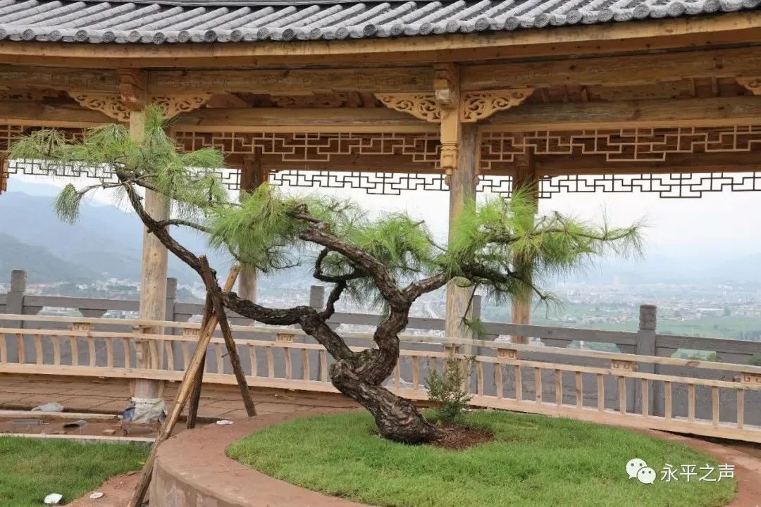 「我们的新时代」永平：组建工作专班，博南工业（物流）园区建设跑出加速度