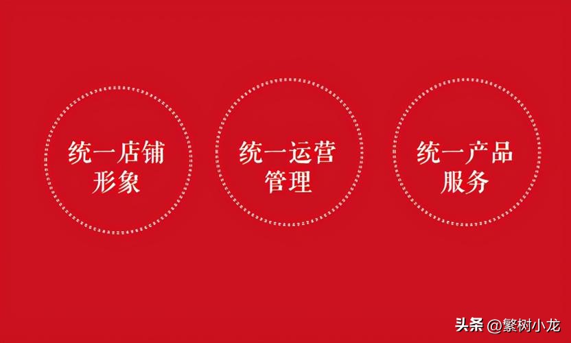 自动裂变的分销模式,分销引流模式