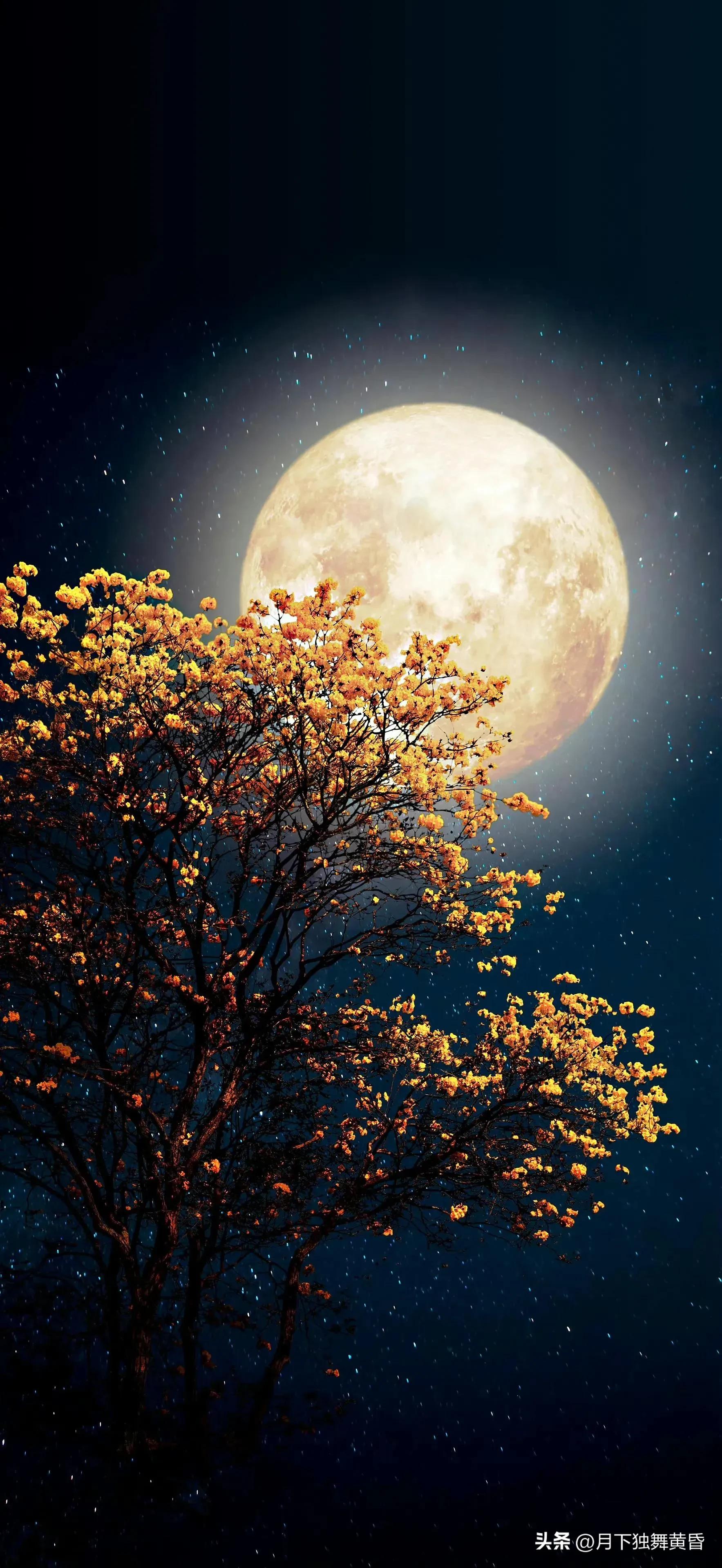 夏天壁纸图高清,壁纸夏天的太阳