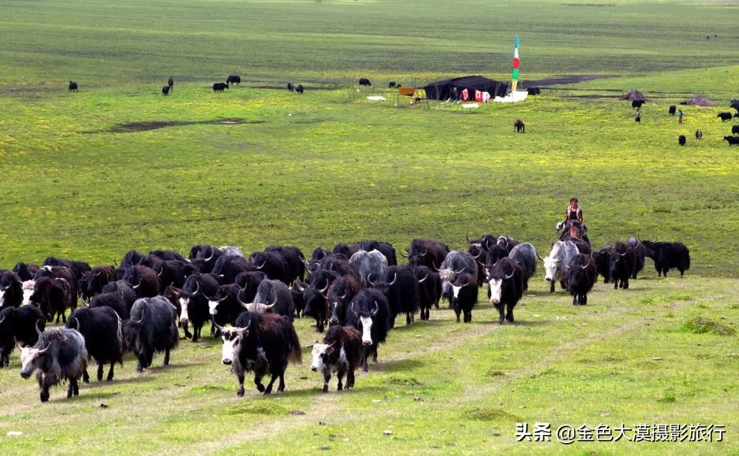 甘南是人间仙境吗,甘南仙境般的存在