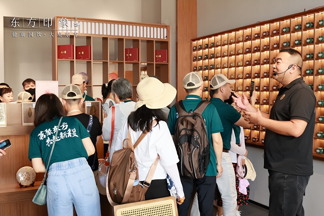 茶山体验之旅,茶山体验活动