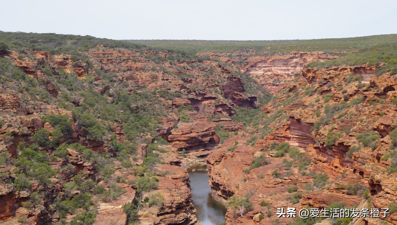 一路向北全程1980公里,西澳自驾游最佳路线图