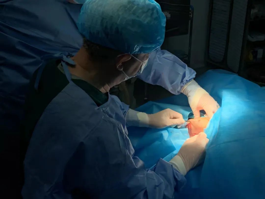 祛除狐臭腋臭,祛除腋臭