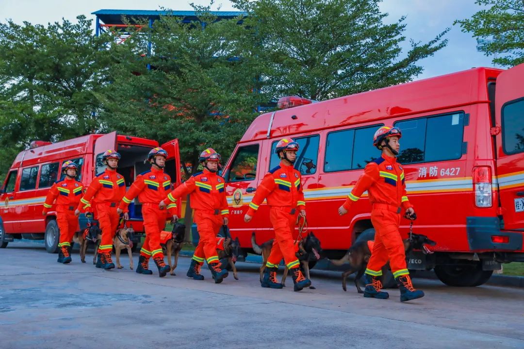 王鹏这个人怎么样,王鹏评价