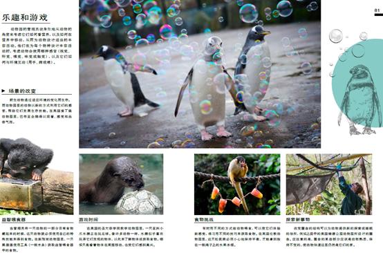 dk动物园全套,dk揭秘动物王国的奥秘