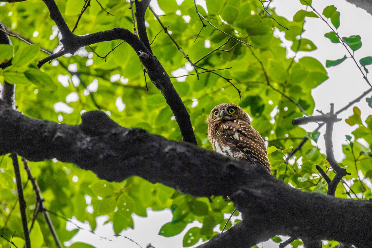 佳能行摄中国,佳能n100行摄之旅