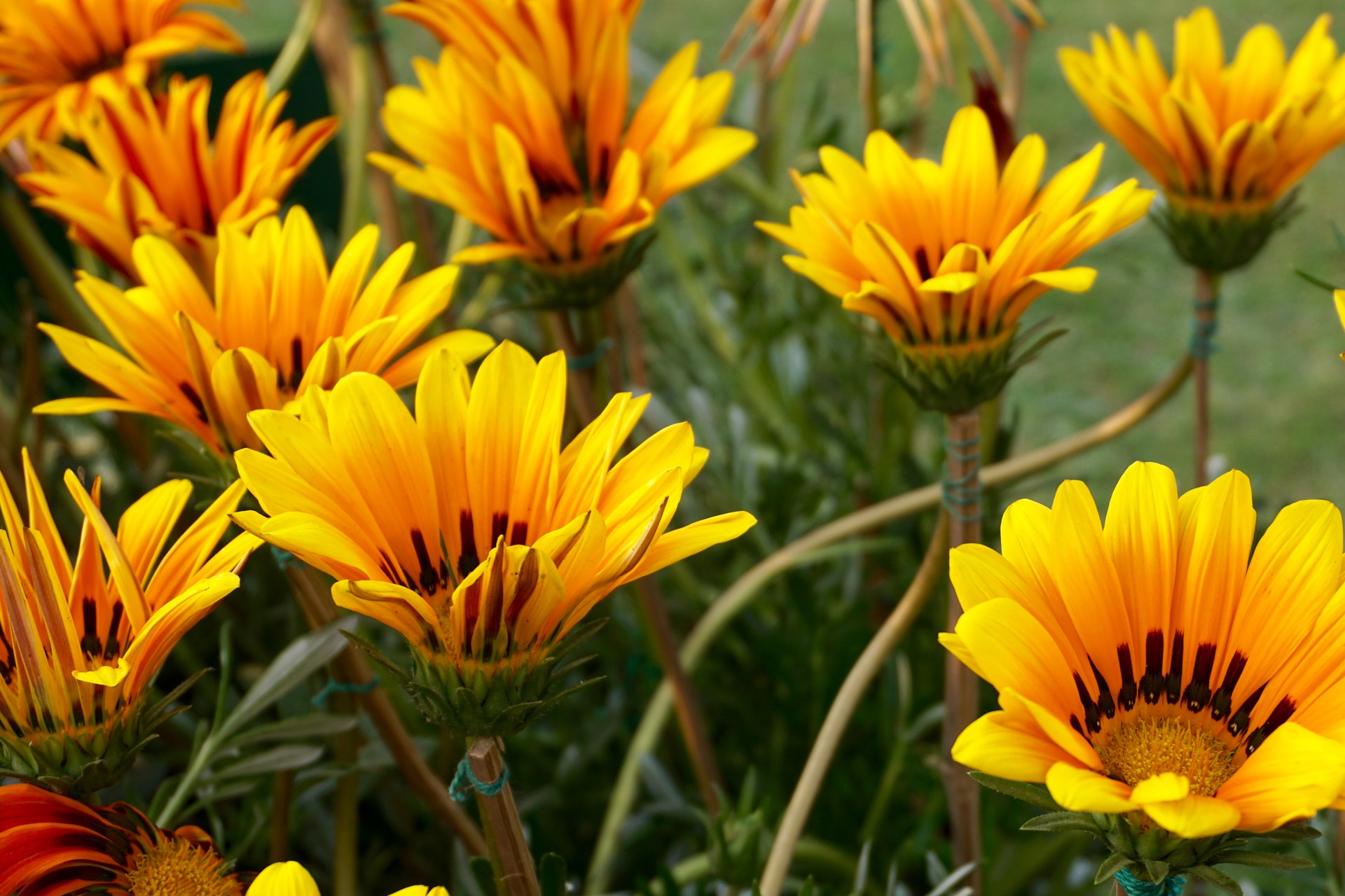 被人算计就要当场翻脸不后悔,被人算计的五大表现