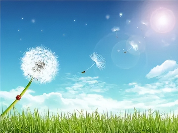 创业第一步先做什么需要哪些条件,你适合创业吗创业要注意哪些事项