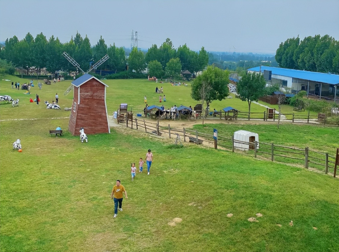 郑州赏花游玩推荐景点,郑州踏青旅游攻略