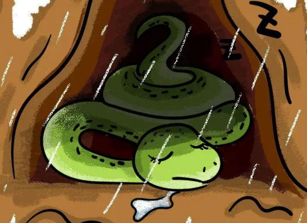 鍥涘窛鏉戞皯涓瘨,鍥涘窛鍐滄埛涓瘨