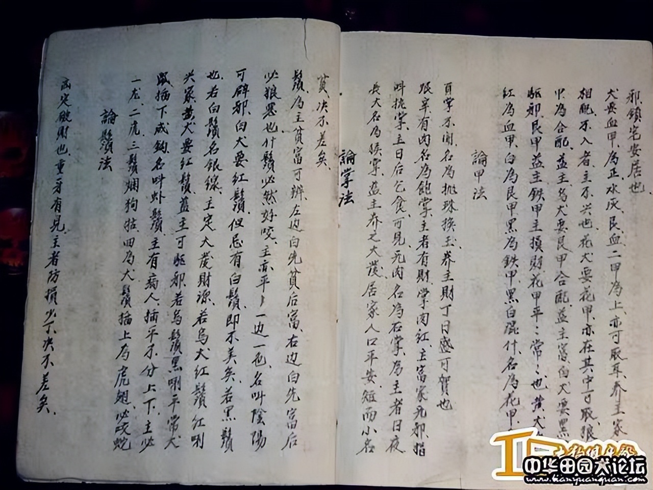 千古流传奇书都有哪些经典,千古难得一见的绝世奇书