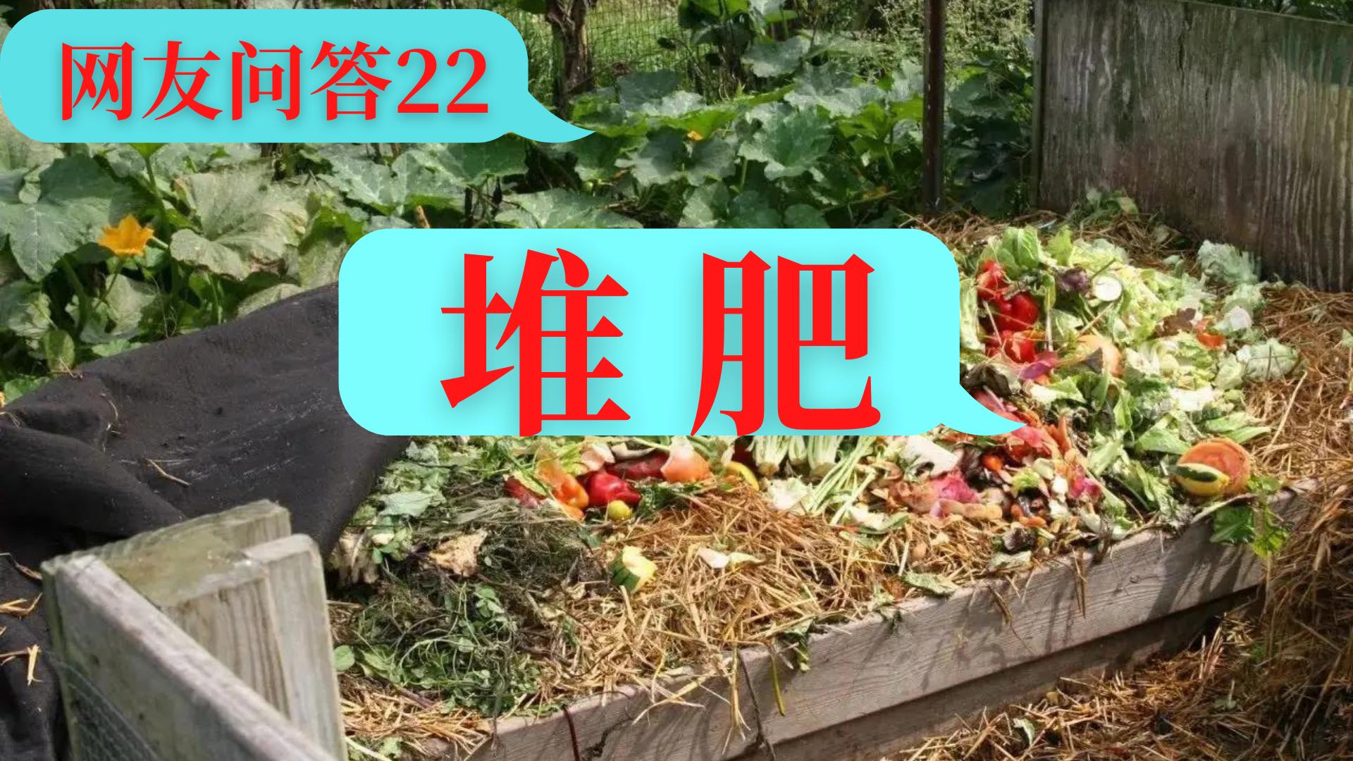 发酵菜籽饼肥长虫了怎么办,菜籽饼长蛆了还能做肥料吗