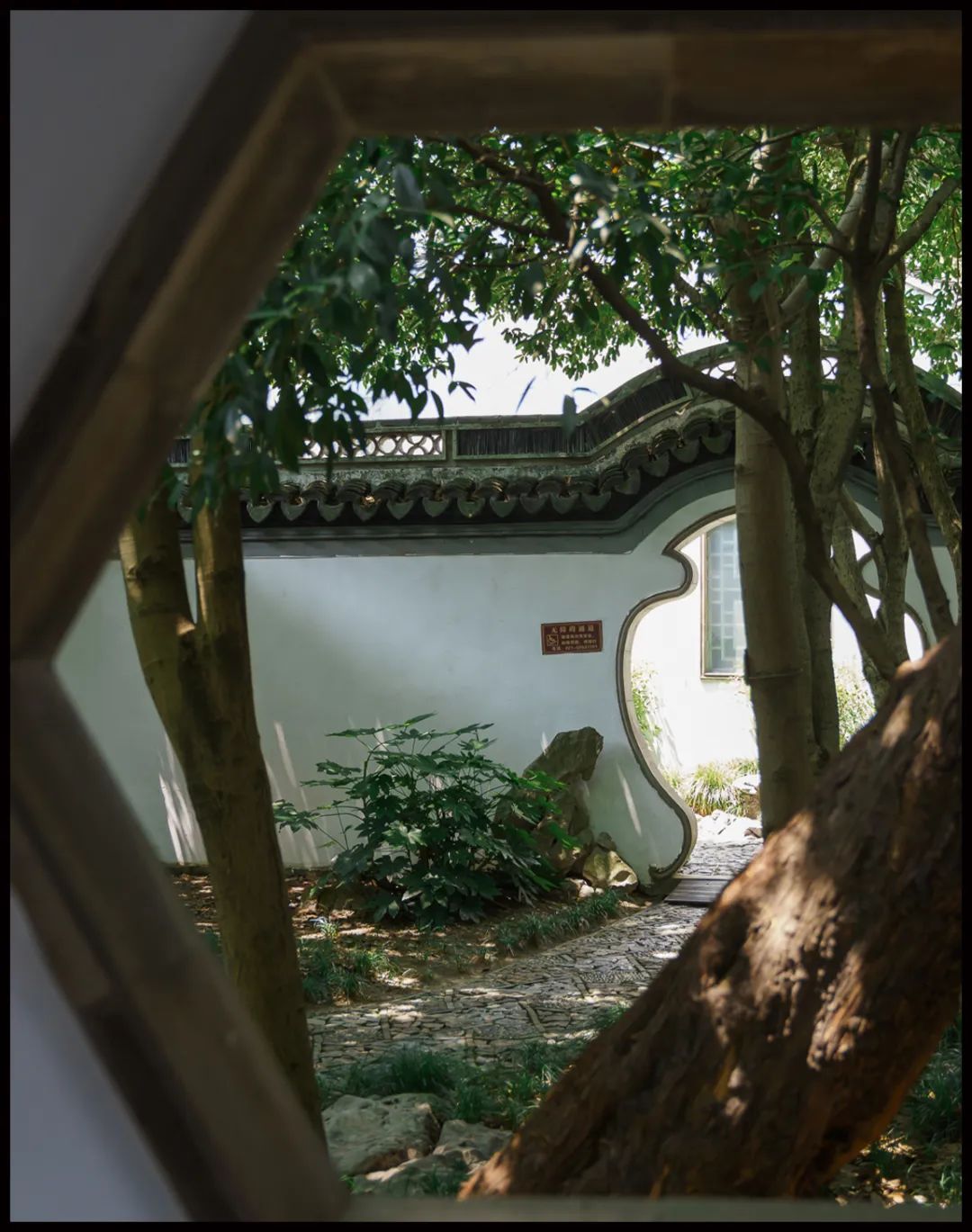 520年一遇，2022上海最浪漫打卡地出炉