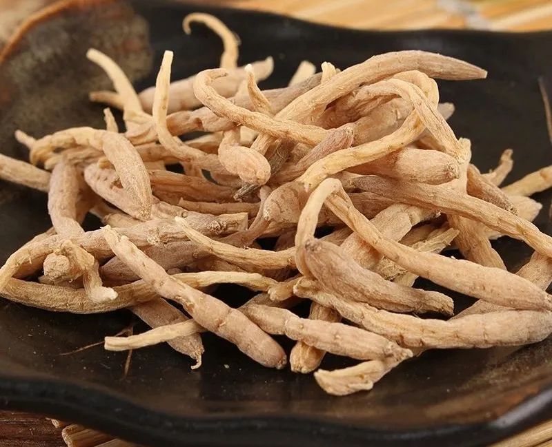 王三虎讲虚劳病症辨治,国医大师李士懋医案治疗痰湿