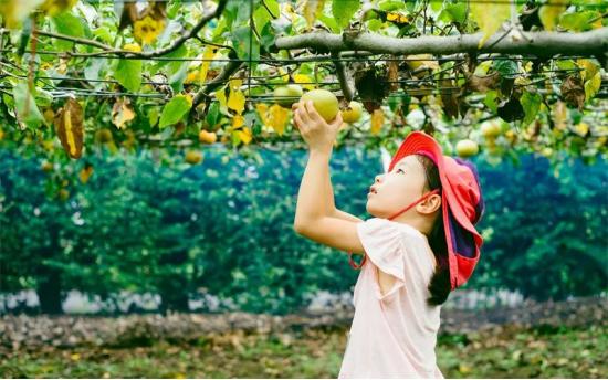农村冷门回收生意,适合农村小投资的项目有哪些